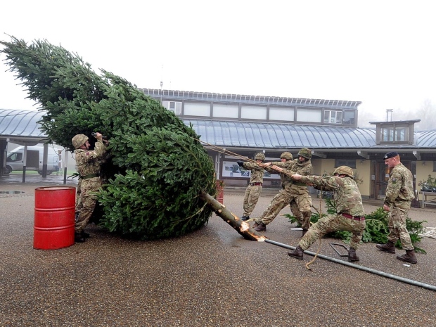 Is your Christmas tree up yet