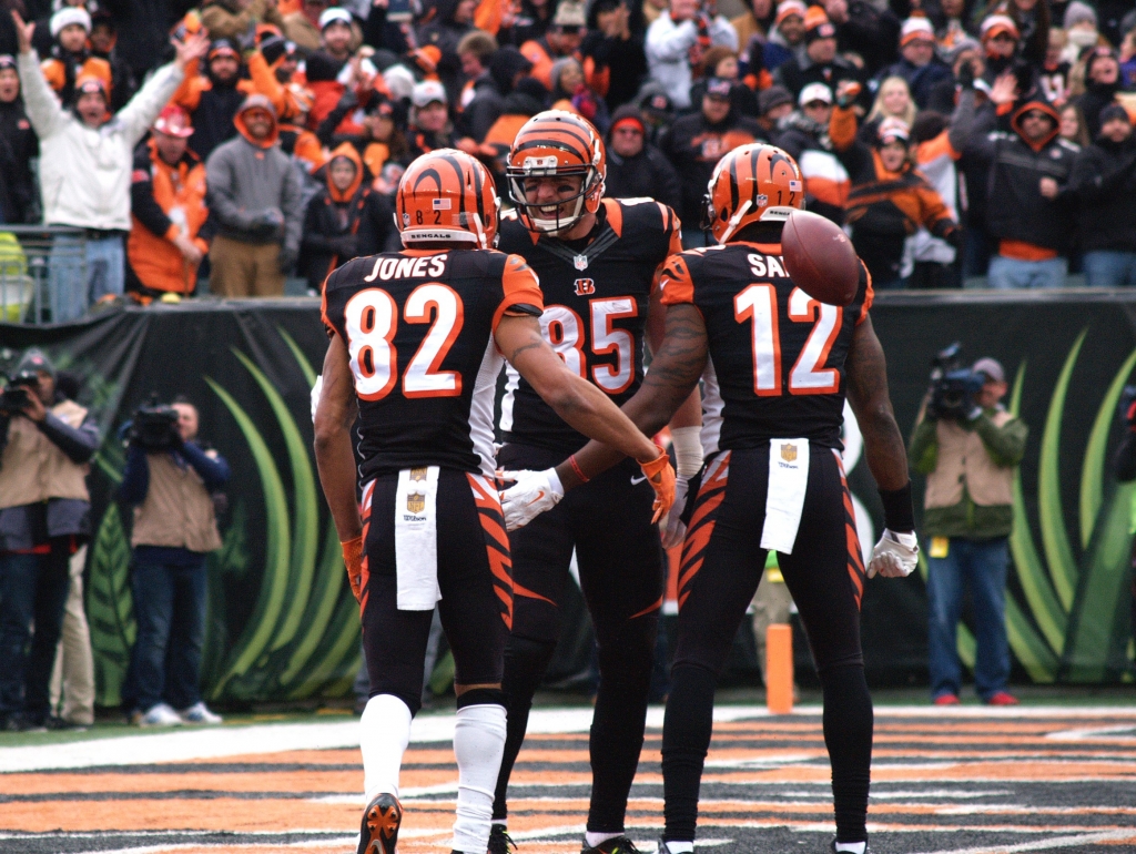 Bengals celebrate touchdown vs Ravens