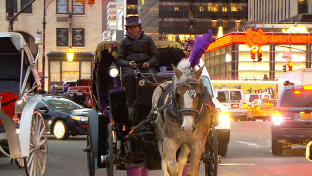 NYC carriage horse in undated file