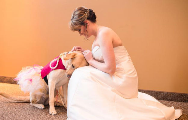 Service dog walks bride