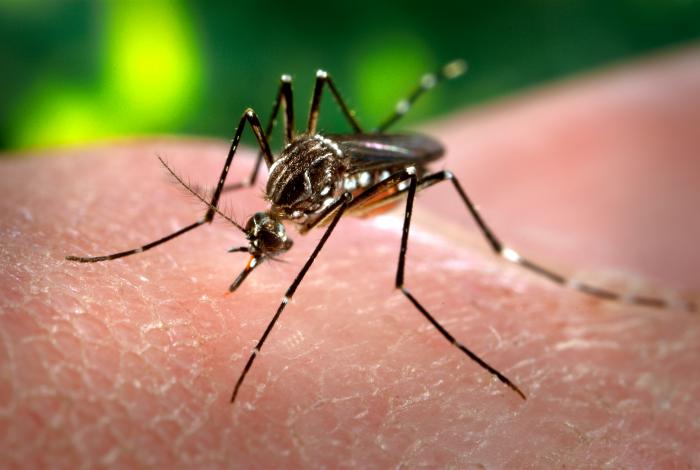 A student of the College contracted the Zika virus while traveling in Central America over winter break. COURTESY