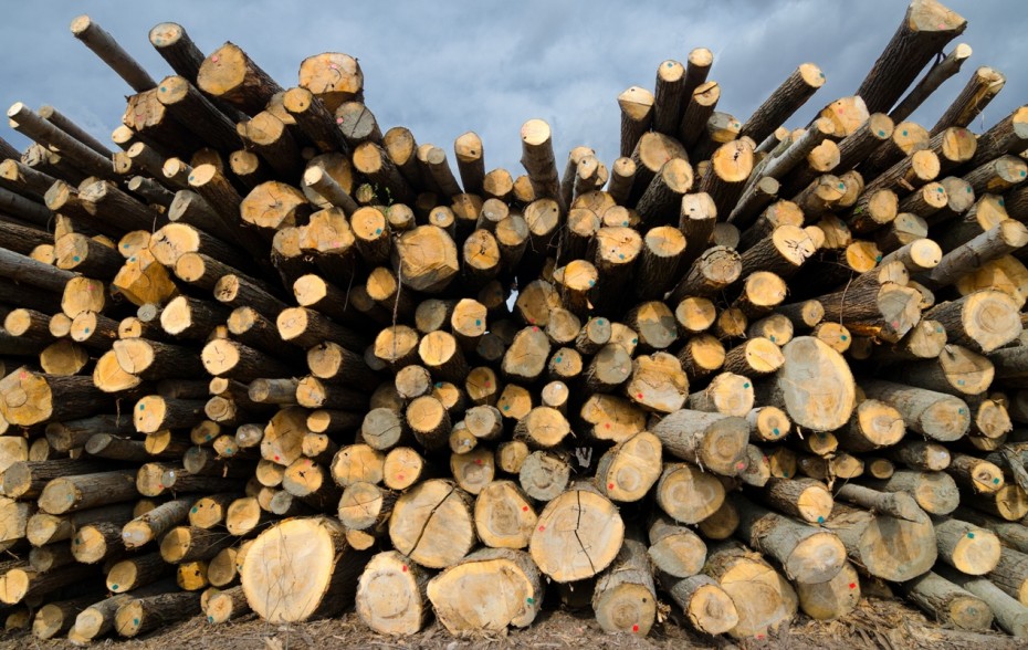 Pile of lumber in the lumberyard