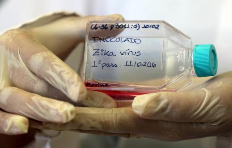 Zika Virus