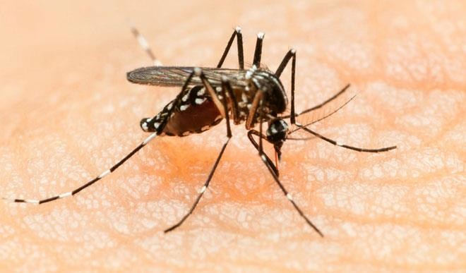 China confirms first case of Zika virus