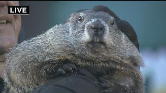 Buffalo's own Groundhog Day raises money for Buffalo Zoo