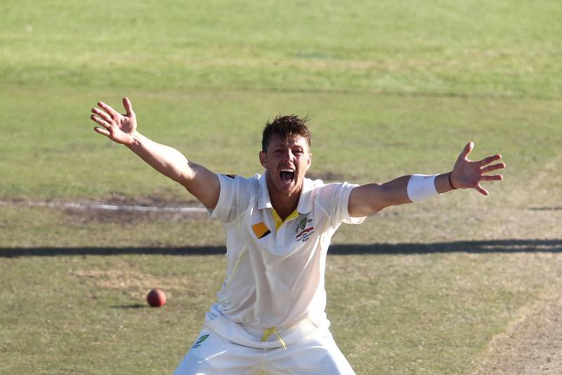 Australia's James Pattinson appeals successfully for the wicket of South Africa's Hashim Amla during the fourth day of the third cricket test match at Newlands Stadium in Cape Town