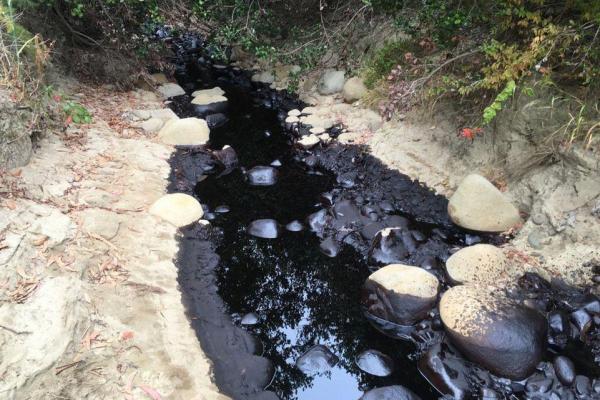 Crude oil leaks from pipeline in Ventura County