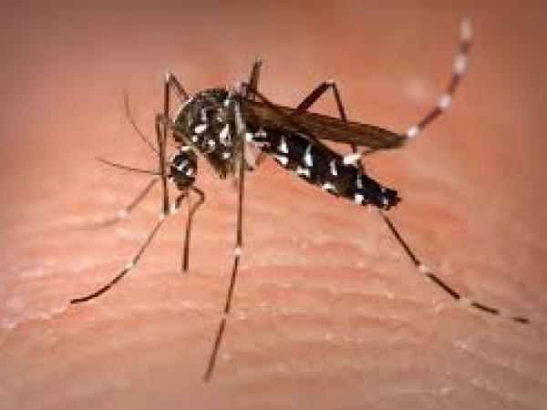 First Confirmed Zika Virus Case In Chester County