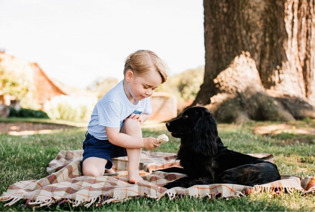 Prince George looking super-cute with pet dog Lup in his third…