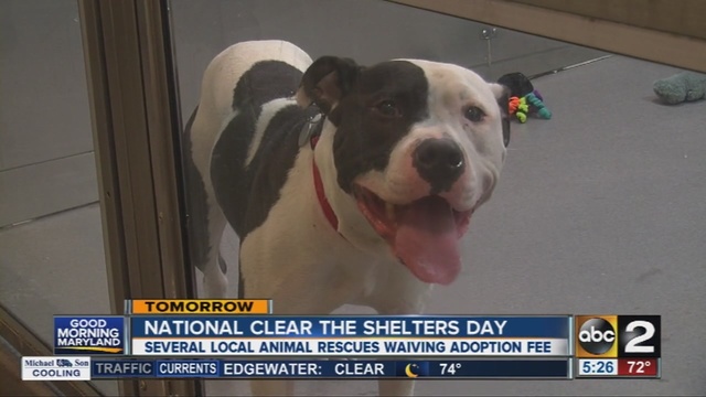 Local shelters are waiving their adoption fees Saturday on National Clear the Shelters Day.                      WMAR