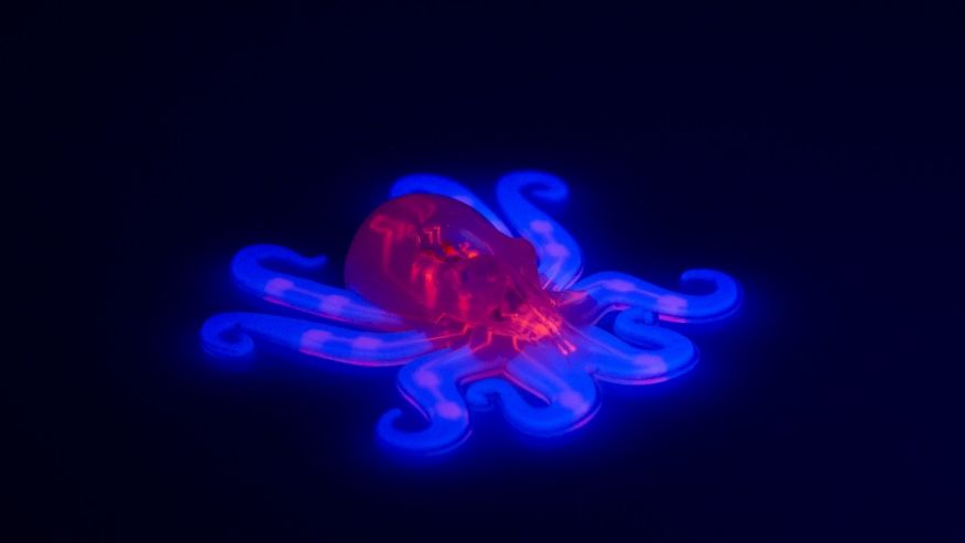 An octobot with fluorescently dyed fugitive inks and hyperelastic actuator layers fabricated by moulding and EMB3D printing