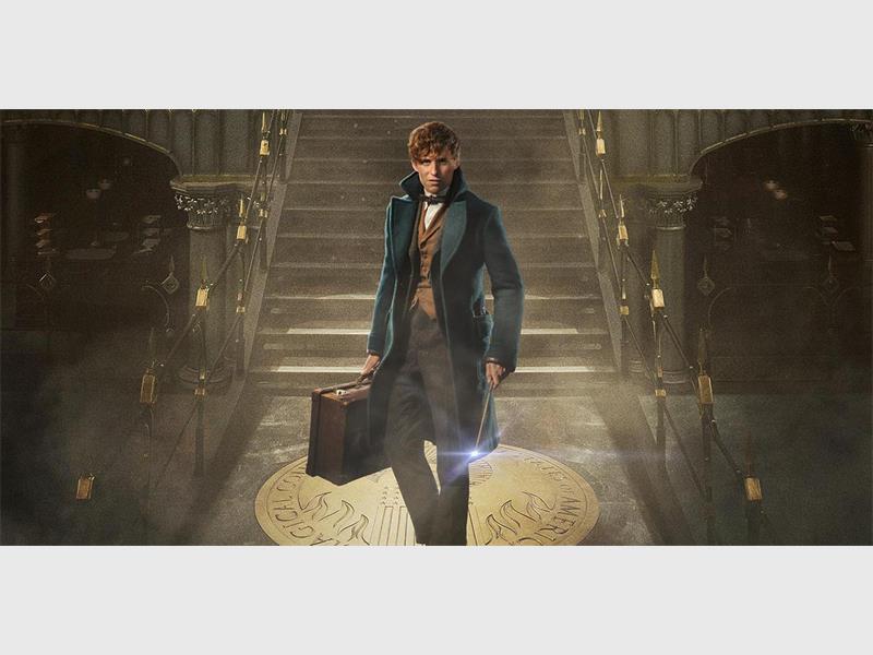 Fantastic Beasts and Where to Find Them movie review: Harry Potter universe just got expanded