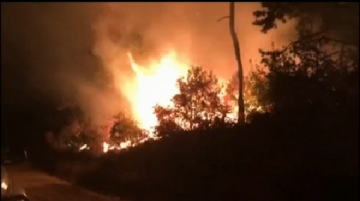 North Carolina Brush Fire