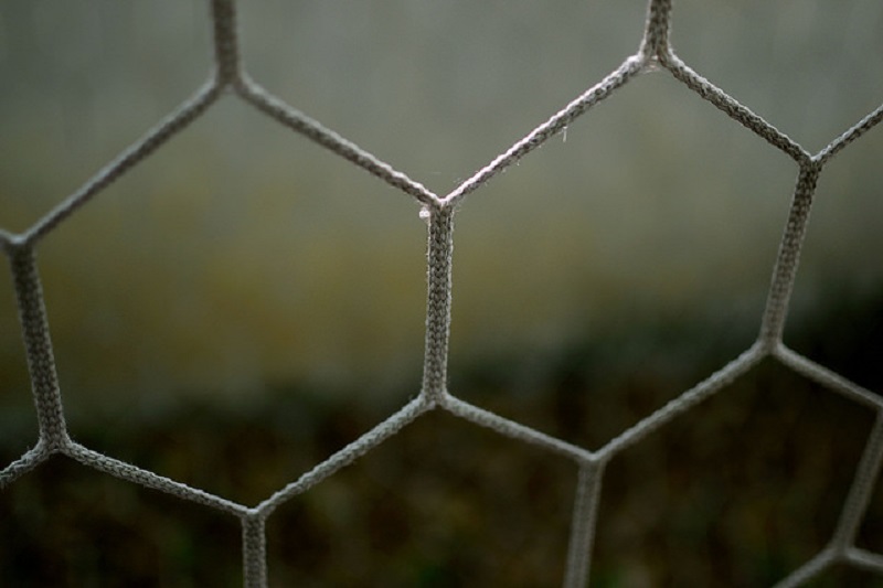 Goalnet