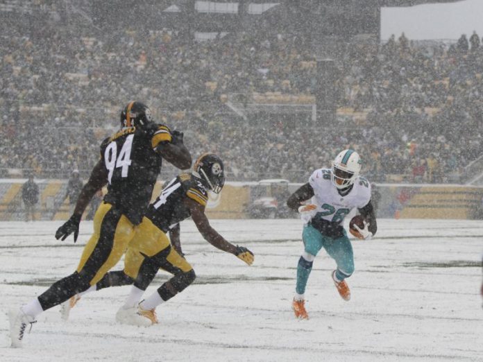 Pittsburgh Steelers vs. Miami Dolphins - 1/8/17 NFL Pick, Odds, and Prediction