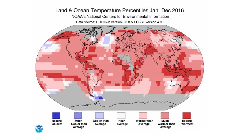 2016 Was The Hottest Year Yet, Scientists Declare