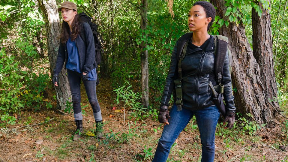 'The Walking Dead' Season 7 Spoilers: Finale Will Be 'Quantum Intense' Says Showrunner