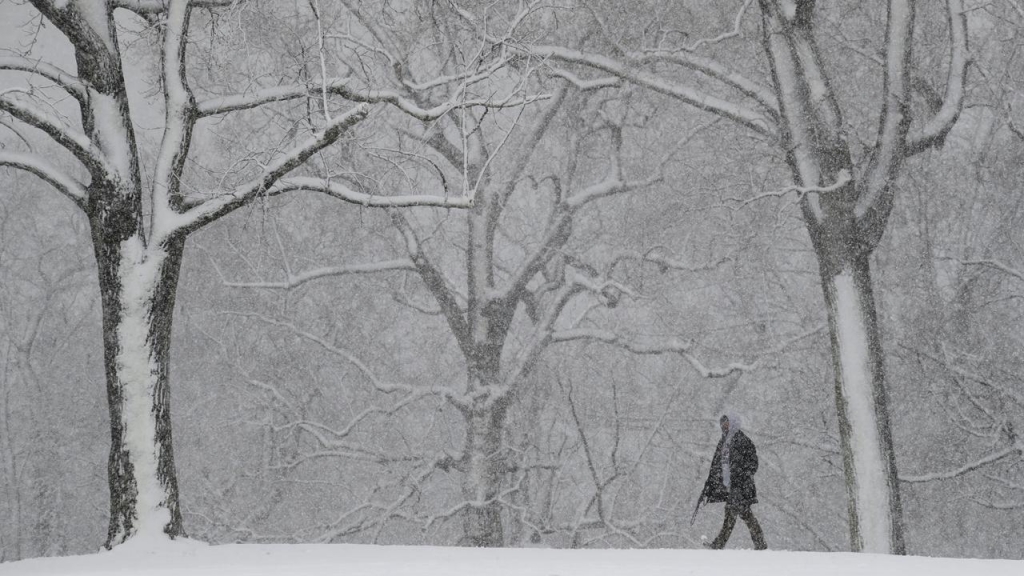 Blizzard to hit northeast US causes chaos