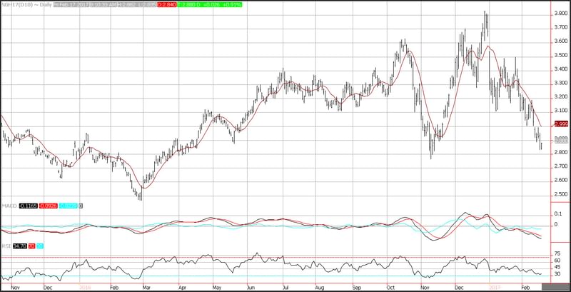 Daily EUR  USD