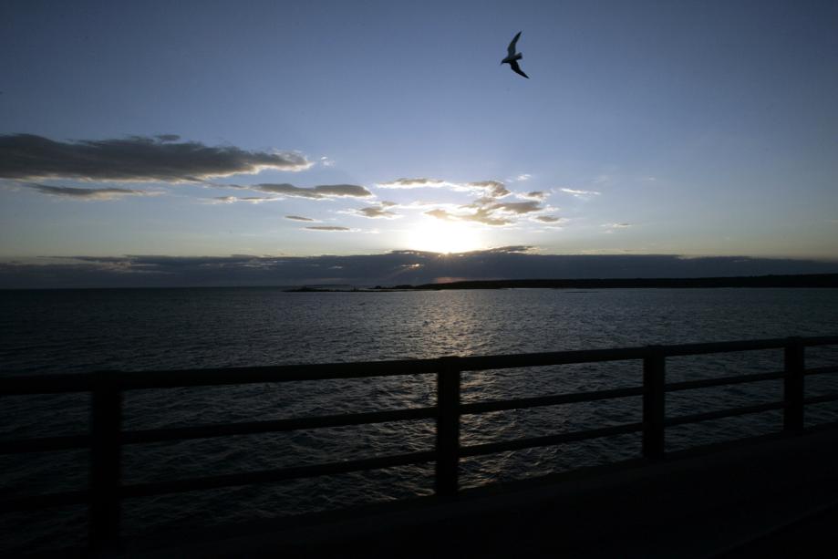 Trump seeks elimination of Great Lakes restoration funding