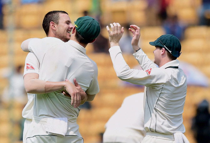 Hazelwood celebrates a wicket with his teammates