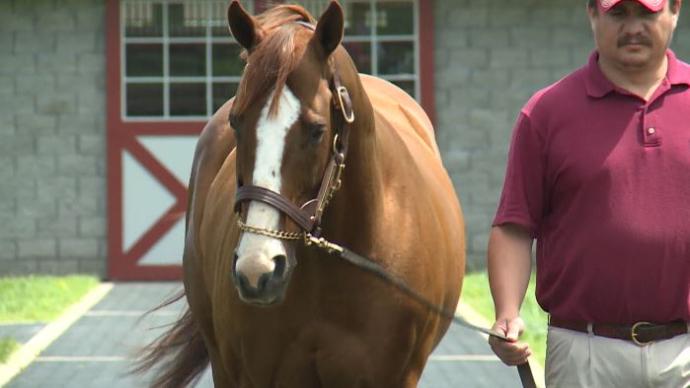 No clear favourites in what could be wet, wild Kentucky Derby