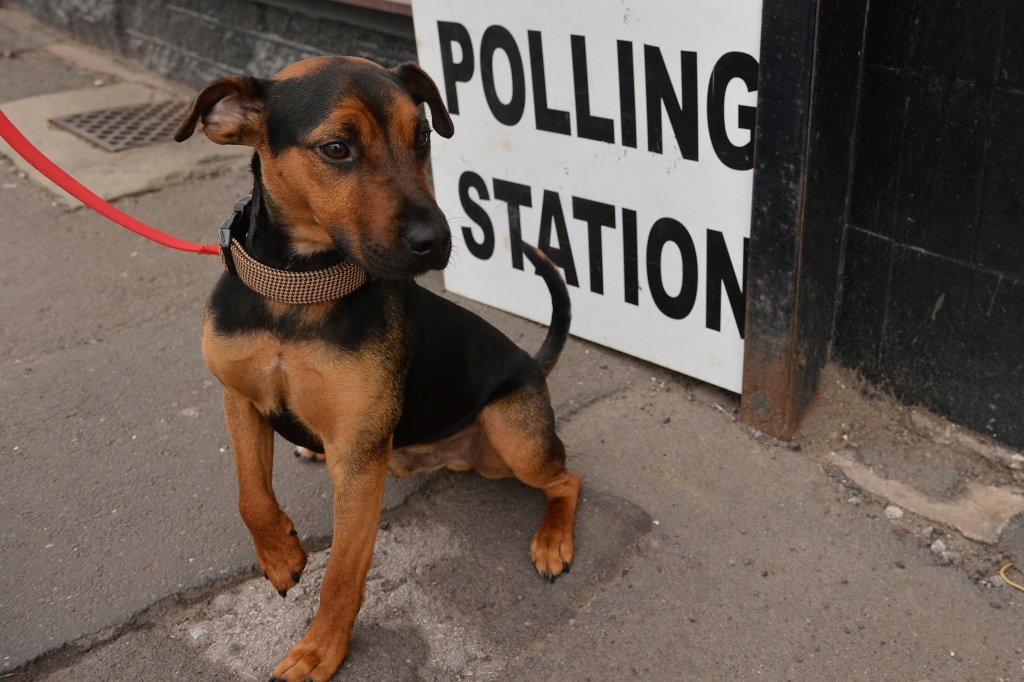 Working out just who will make it to the polls is one of the biggest problems faced by psephologistsPAUL ELLIS  AFP  GETTY IMAGES