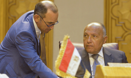 Egyptian Foreign Minister Sameh Shoukry