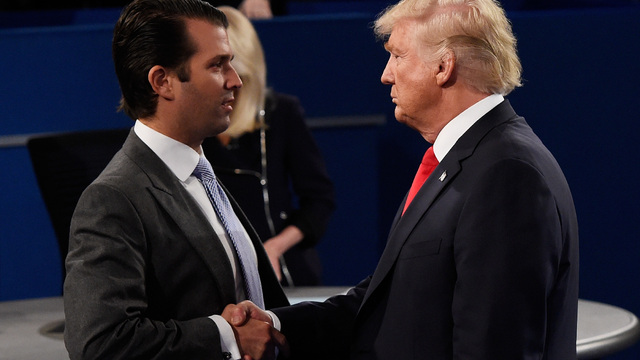 Did Trump Jr.'s Russia Meeting Break Any Laws