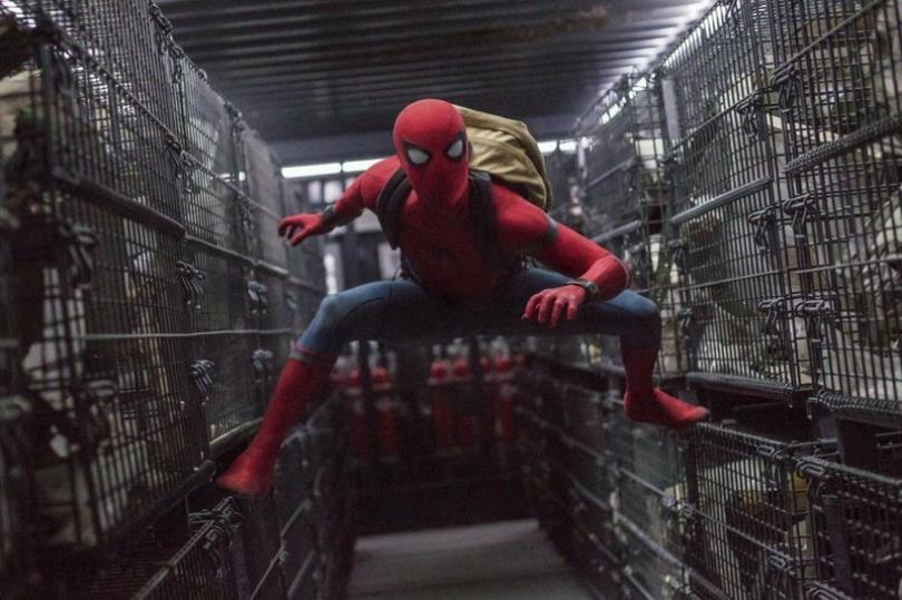 Winner Of DIY Spider-Man Suit Contest Announced