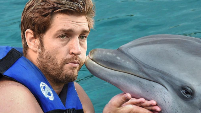 Jay Cutler Joins Desperate Miami Dolphins After Ryan Tannehill Injury