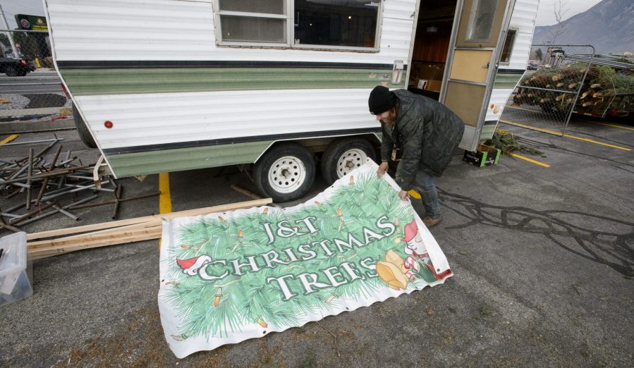 Connecticut Grown Christmas Tree Farms Opening This Week Statewide