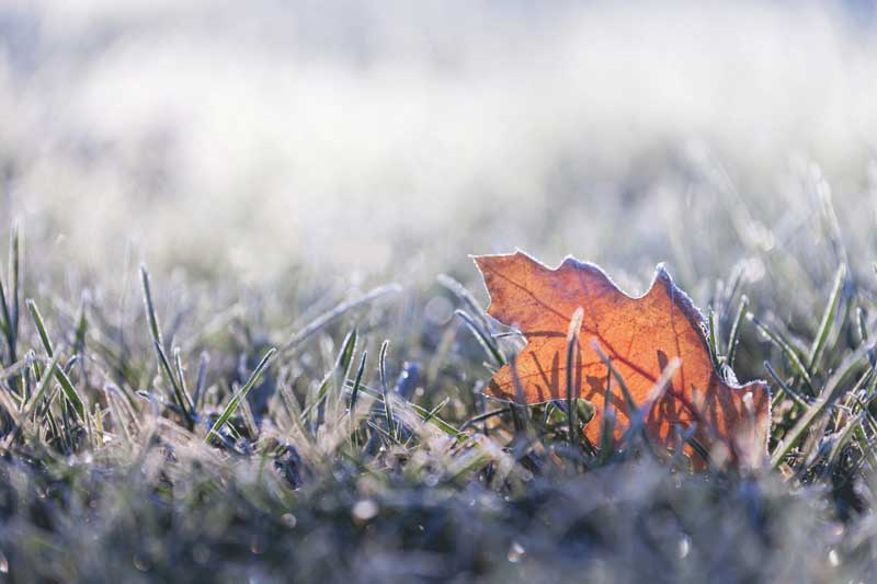 Met office issues warning for Christmas