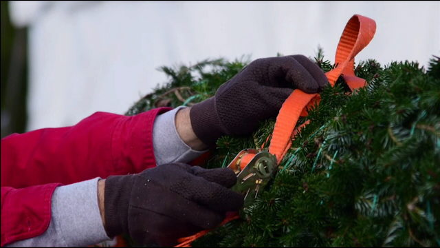 People are flipping out over upside-down Christmas trees this season