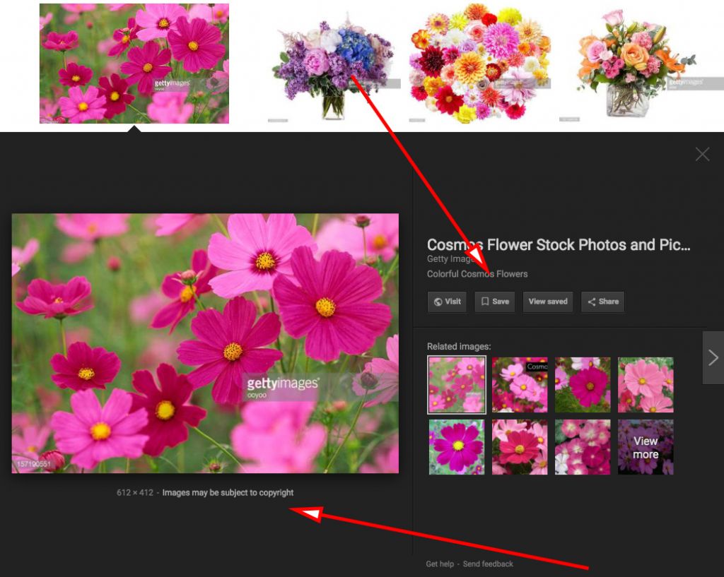 Google Makes it Harder to Steal Pics by Removing View Image Button from Search Results