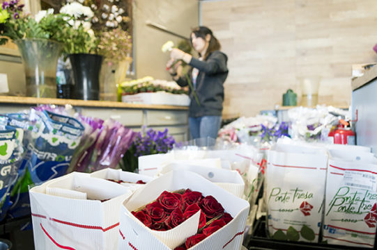 With Valentine's Day quickly approaching florists prepare for the busiest time in the floral industry. The employees of the Fresh Flower Market in Aurora design romantic displays from a delivery of more than 4,000 roses Feb