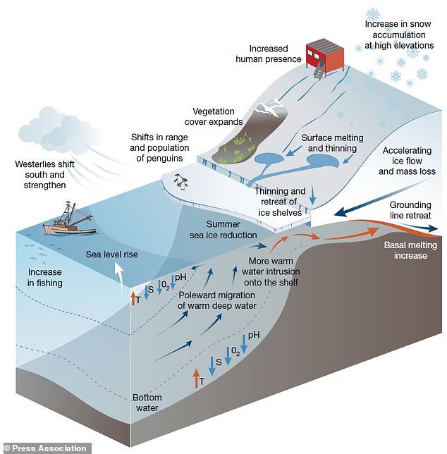 Graphic showing the impact of climate change and human activity in Antarctica