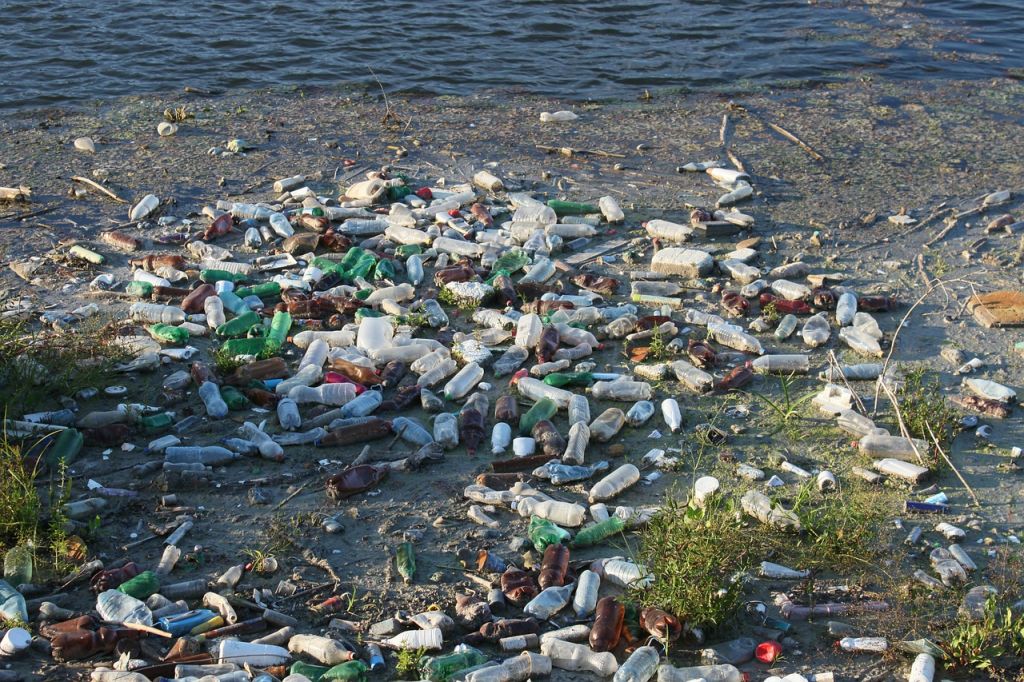 World Oceans Day addresses plastic pollution