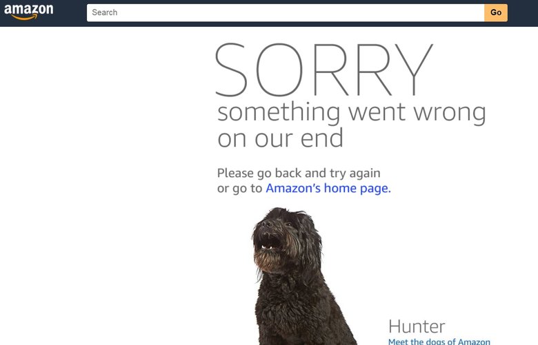 A screengrab of Amazon’s website which crashed for some people Monday in the minutes after its Prime Day sales event began