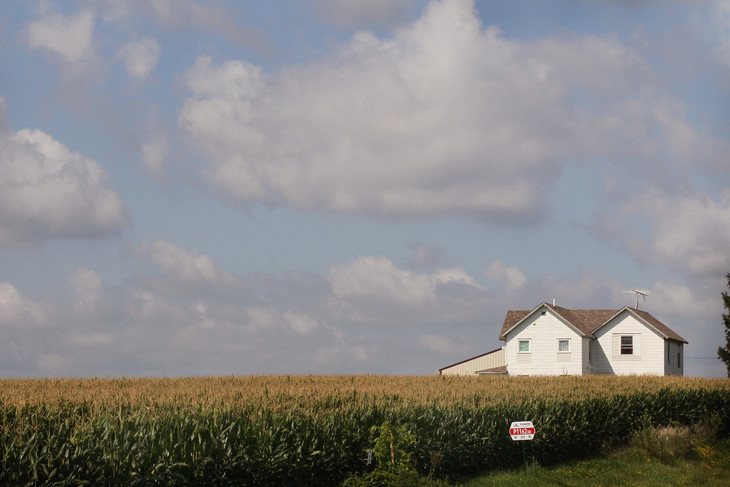 A cornfield in the foreground with a white house and white barn in the background