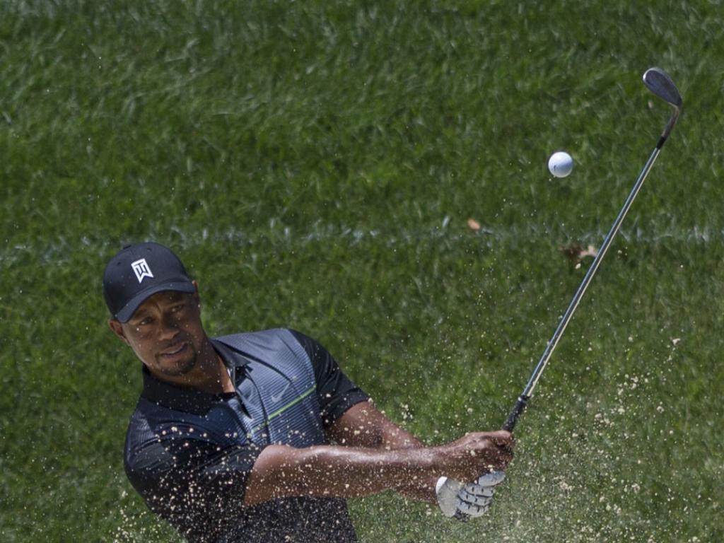 The Tiger Woods 'Halo Effect&#039 Drives Up PGA Championship Ratings