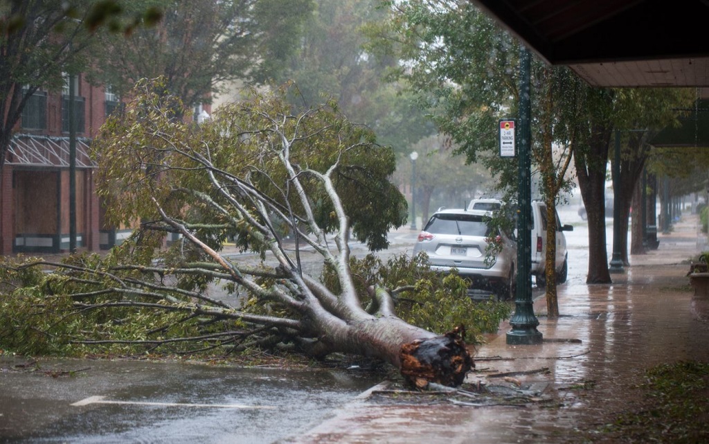 File A downed tree can be seen on Middle Street by the Neuse River in New Bern North Carolina