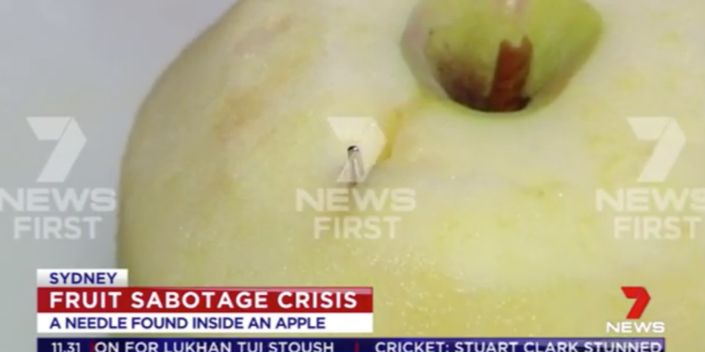 Needle apple aus