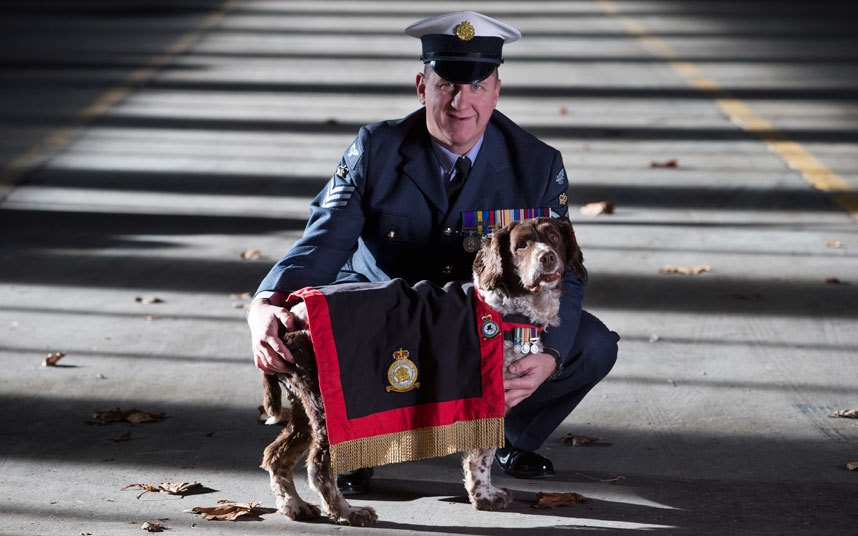 Buster The Special Spaniel That Saved 1,000 Lives Passes Away