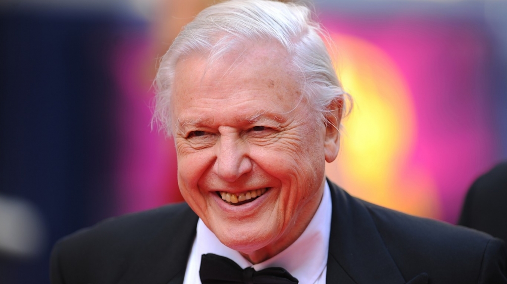 David Attenborough returns to BBC for new series looking at predators and prey