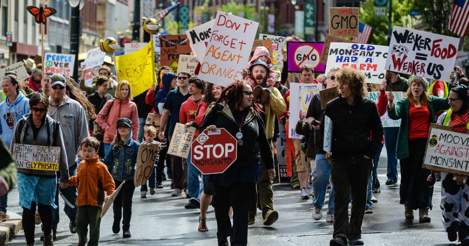 Demonstrators against Monsanto and GMOs stage a protest in Portland Maine in May 2014