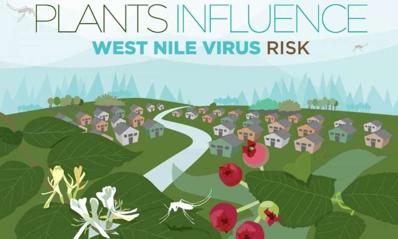 What's in your landscape? Plants can alter West Nile virus risk