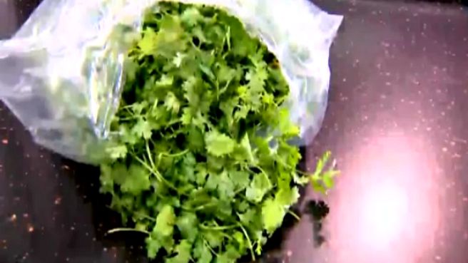 Mexican Cilantro Again Blamed for Texas Cyclospora Outbreak | NBC 5 Dallas