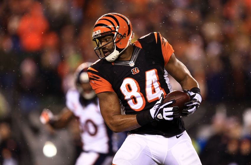 Chicago Bears Could Pursue Tight End Jermaine Gresham