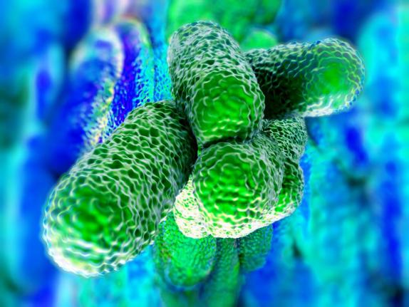 Health Department: Legionnaire's Disease Outbreak In South Bronx Sickens 31